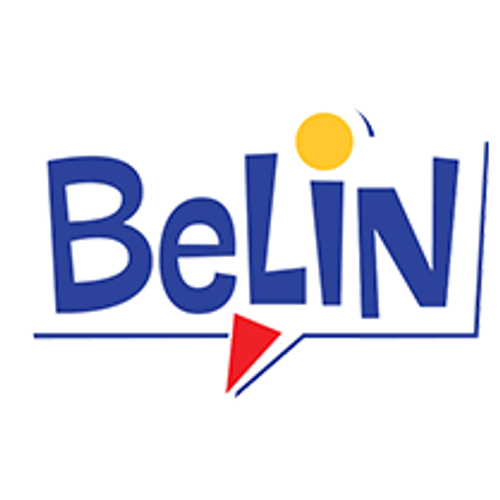 Belin Croustilles Fromage Pocket par 30 paquets : Achat en Ligne
