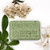 A 100 gram green bar of verbena and donkey milk soap from Senteurs de France. The bar is surrounded by verbena leaves and white flowers.