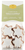 A clear bag holding 120 grams of cinnamon star-shaped cookies from Maison Alsacienne. The cookies are covered with a solid white icing spread.
