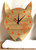 A fox educational clock, which features numbers 0-60 in increments of 5 alongside the traditional 12 numbers on a clock face. Made by Reine Mère.