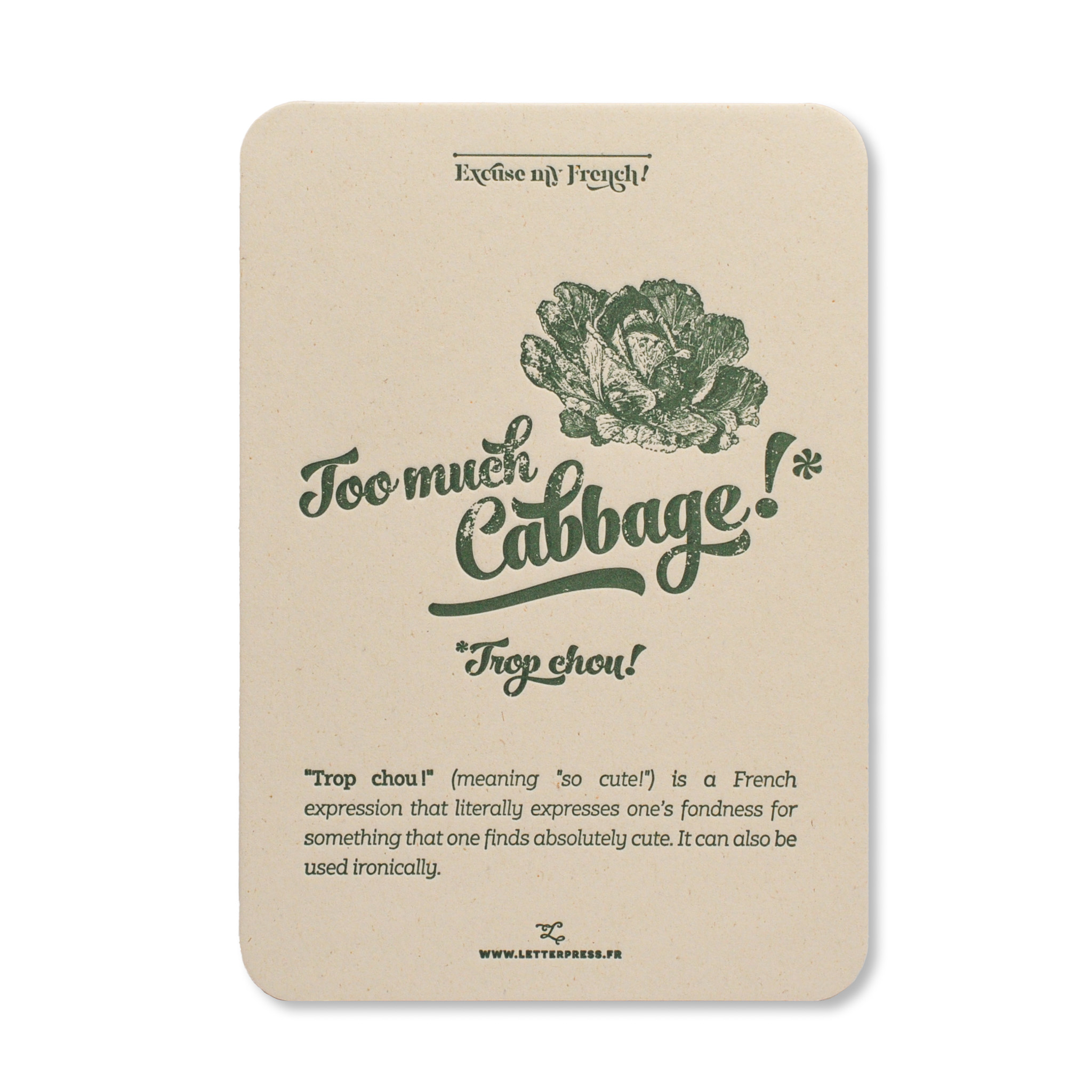 La France des fromages AOC : 洋書　フランス The Taste of France: 25th Anniversary Edition: Bailey, Adrian