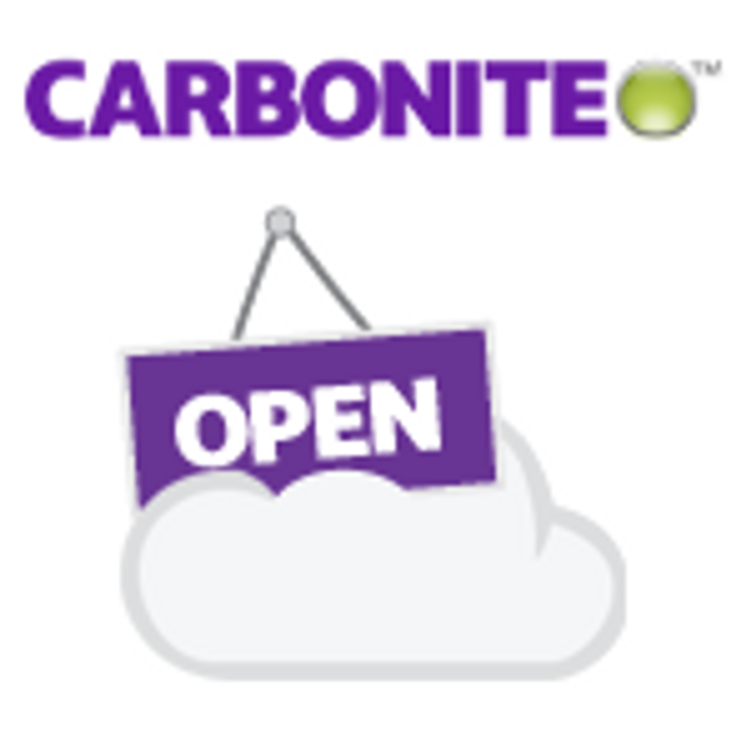 carbonite review