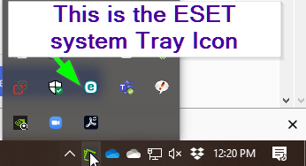 This is the ESET System Tray Icon