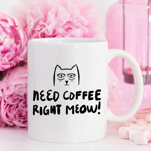 Need Coffee Right Meow Mug