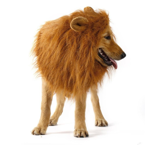 Lion Dog Wig