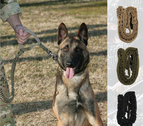 Reflective Dog Leash