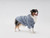 Blue Tribeca Raincoat