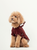 Huston Dark Burgundy Hoodie