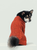 Orange Bert Pet Cardigan