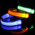LED Dog Collar