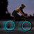 4-Pack LED Neon Wheel Lights