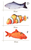 Floppy Fish Cat Toy