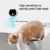 Litter Box Odor Purifier