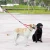 Dual Bungee Dog Leash