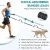 Hands-Free Dual Dog Leash