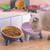 Pet Food Bowl