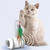 Feather Cat Toy