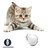 Laser Ball Cat Toy