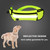 Pet Walking Bag and Leash