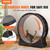 Cat Exercise Wheel