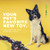 ReRope Tennis Ball Toy