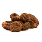 Begonia Fimbriata Mixed