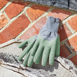All Season Gloves - Medium (Sage) All Season Gloves - Medium (Sage)