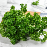 Curly Parsley
