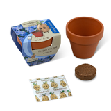 SeeddeeS Terracotta Pot - Forget Me Not Growing Kit