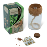 SeeddeeS Glass Vase & Cork Pot - Cress Growing Kit