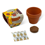 SeeddeeS Terracotta Pot - Sunflower Growing Kit