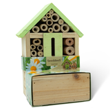 SeeddeeS Insect Hotel Fronter - Daisy Growing Kit