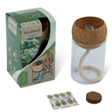SeeddeeS Glass Vase & Cork Pot - Anise Growing Kit