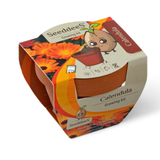 SeeddeeS Terracotta Pot - Calendula Growing Kit