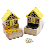 SeeddeeS Insect Hotel Fronter - Corn Daisy Growing Kit