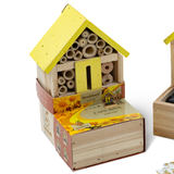 SeeddeeS Insect Hotel Fronter - Corn Daisy Growing Kit
