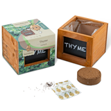 SeeddeeS Wood Square Box - Thyme Growing Kit
