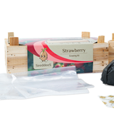 SeeddeeS Wooden Box - Strawberry Growing Kit