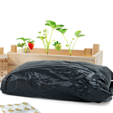 SeeddeeS Wooden Box - Strawberry Growing Kit