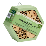 Mason Bee HexBox