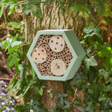 Mason Bee HexBox