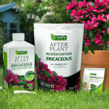 Empathy Rootgrow After Plant Ericaceous Plant Food 1kg