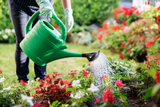 Gardening Jobs for August