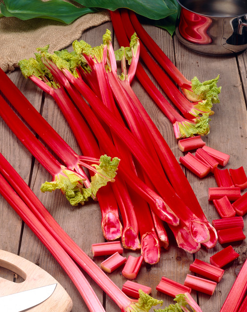 Rheum Rhubarb Timperley Early