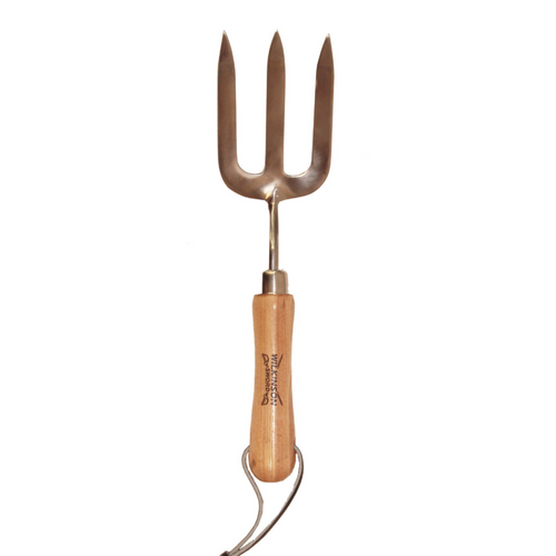 Wilkinson Sword Stainless Steel Hand Fork