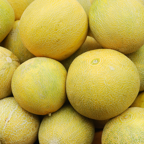 Honeydew Melon