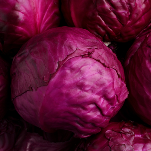 Red Cabbage