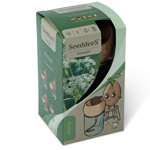 SeeddeeS Glass Vase & Cork Pot - Anise Growing Kit