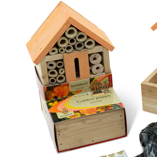 SeeddeeS Insect Hotel Fronter - Golden Poppy Growing Kit