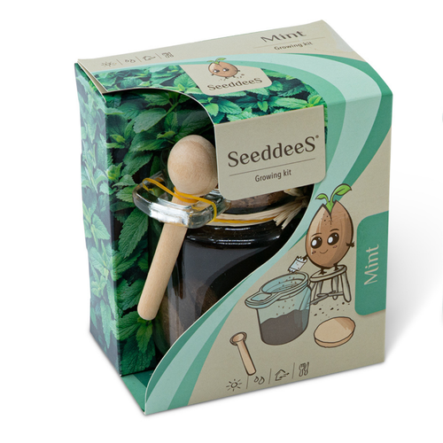 SeeddeeS Glass Planter - Mint Growing Kit